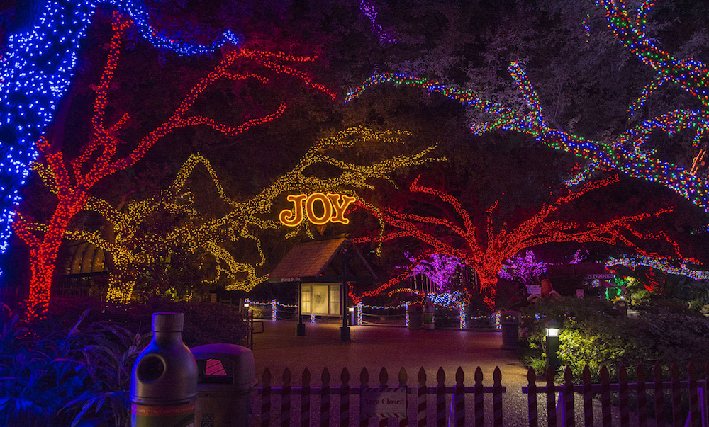 Zoo Lights Houston 2013 | 365 Things to Do in Houston