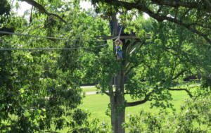 zip-nac-nacogdoches-houston-zipline-daytrip