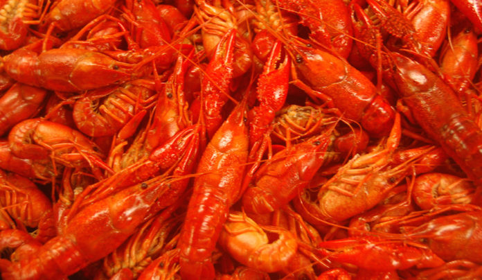 tony-mandola-crawfish-boil-march-29-30-2014