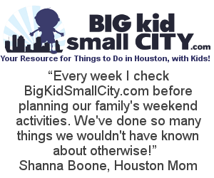 BigKidSmallCity Ad 300 250