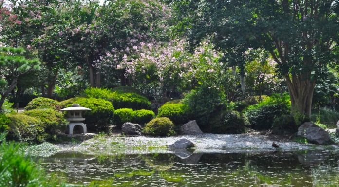 Hermann Park Japanese Garden 365 Houston