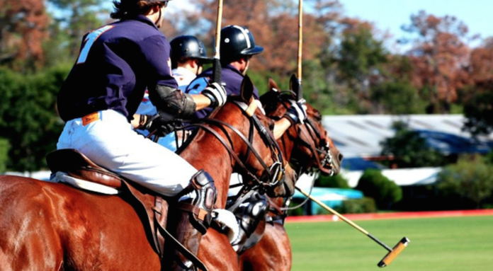 Houston Polo Club