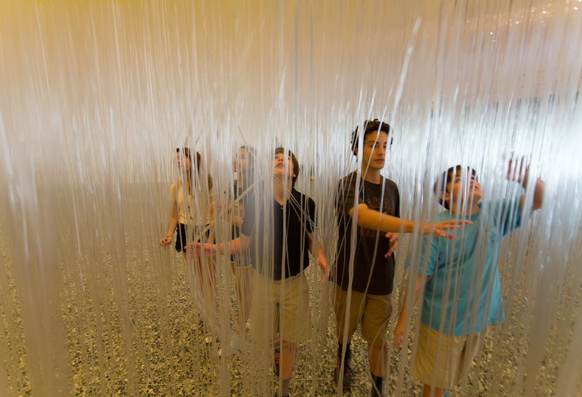 soto-houston-penetrable-mfah-summer-2014-Jesús Rafael Soto