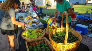 sunset-sip-stroll-la-porte-tx-farmers-market-food