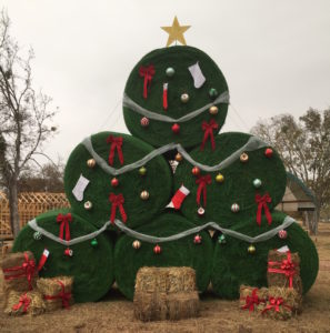 blessington-farms-katy-strawberries-christmas-hours