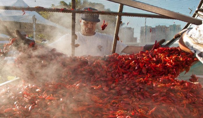 crawfish-block-party-houston crawfish-block-party-houston
