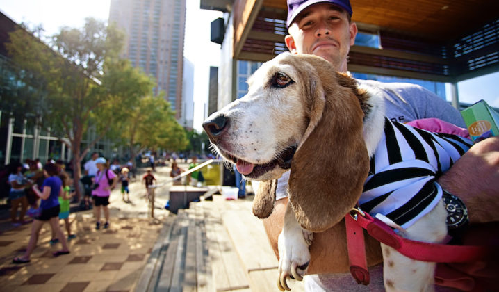 10 Dog Friendly Restaurants & Bars | 365 Houston