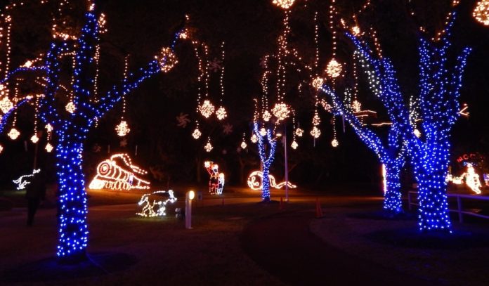 Festival Of Lights At Moody Gardens 365 Houston