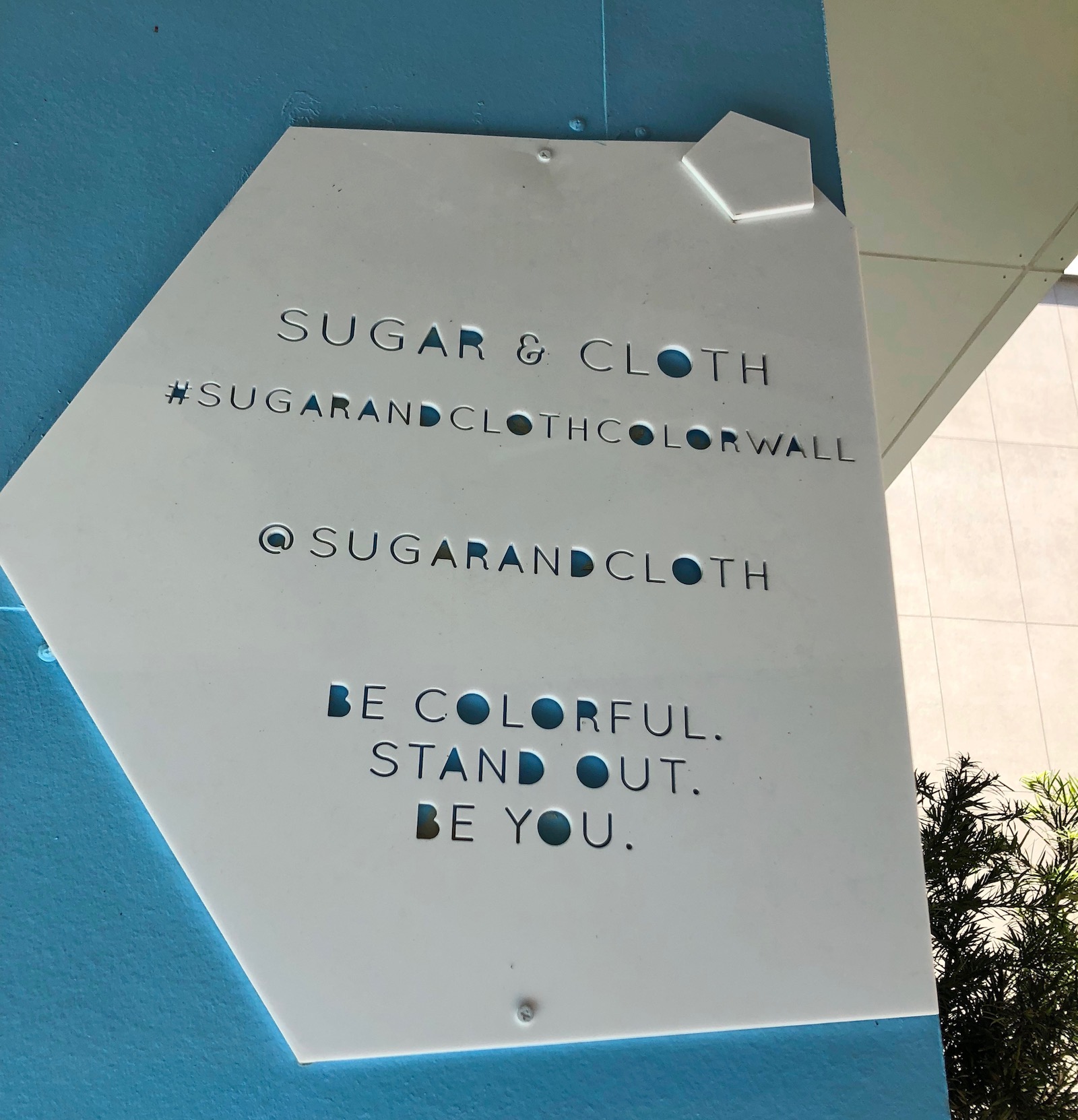 sugar-and-cloth-color-wall-houston-5