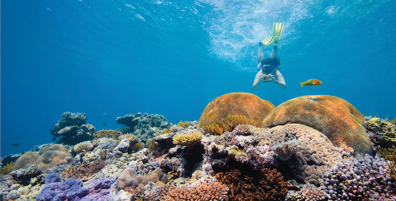 The Great Barrier Reef near Cairns | Photo courtesy of Tourism Australia