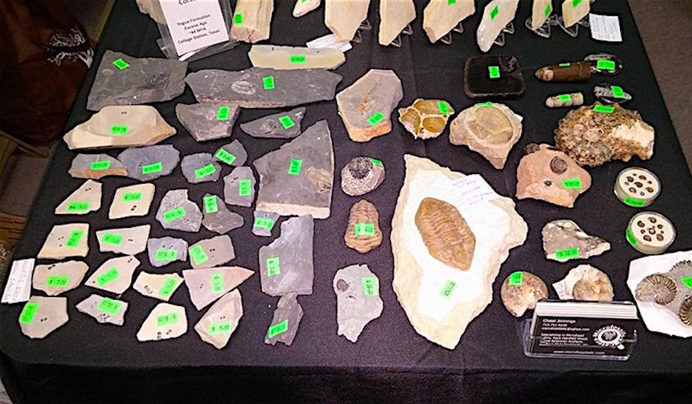 houston-gem-mineral-society-2018