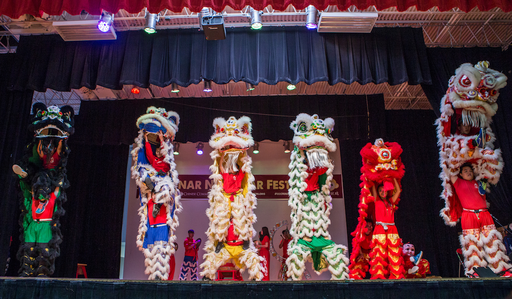 2017 Lunar New Year Festival | 365 Houston