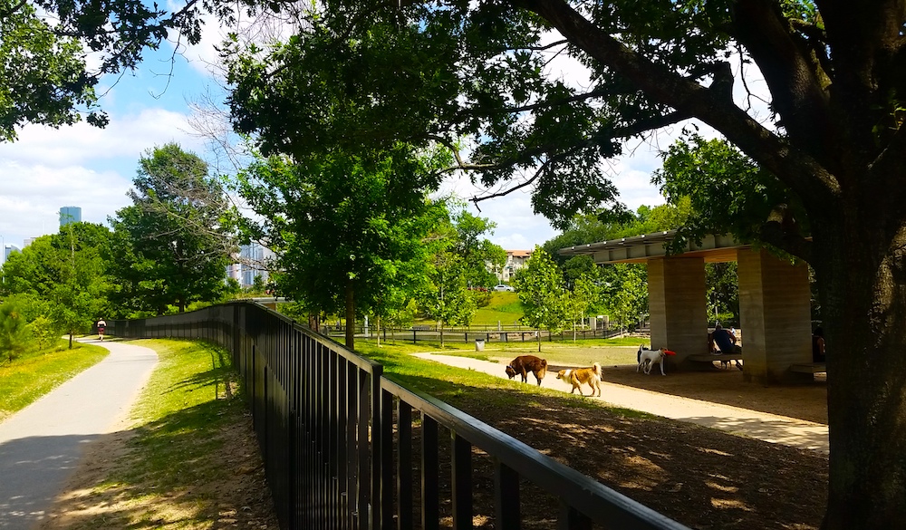 johnny steele dog park buffalo bayou park houston