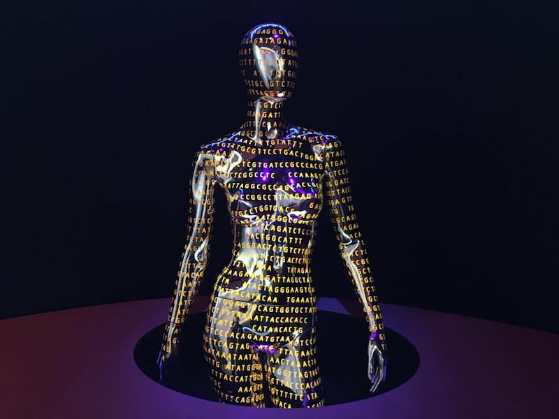 genome-unlocking-lifes-code-health-museum