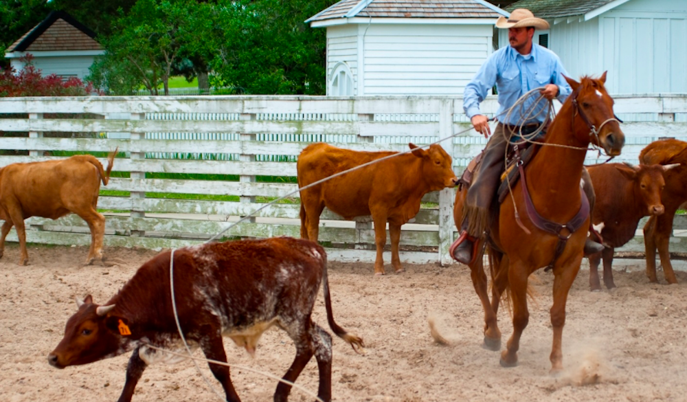 park-spotlight-george-ranch-historical-park-2