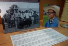 Learn all about the diverse heritage of the West at the American Cowboy Museum american-cowboy-museum-houston-1