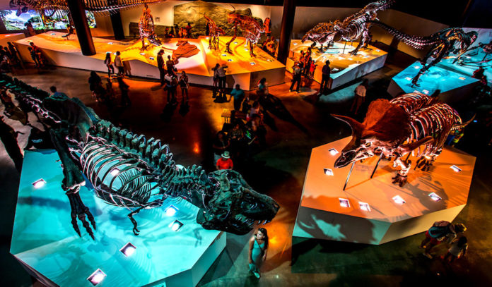 houston-museum-of-natural-science-discounted-admission-2019