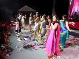 around-the-world-in-houston-india