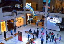 Visitor’s Guide: Houston Museum of Natural Science in the Museum District Houston Museum of Natural Science Main Hall