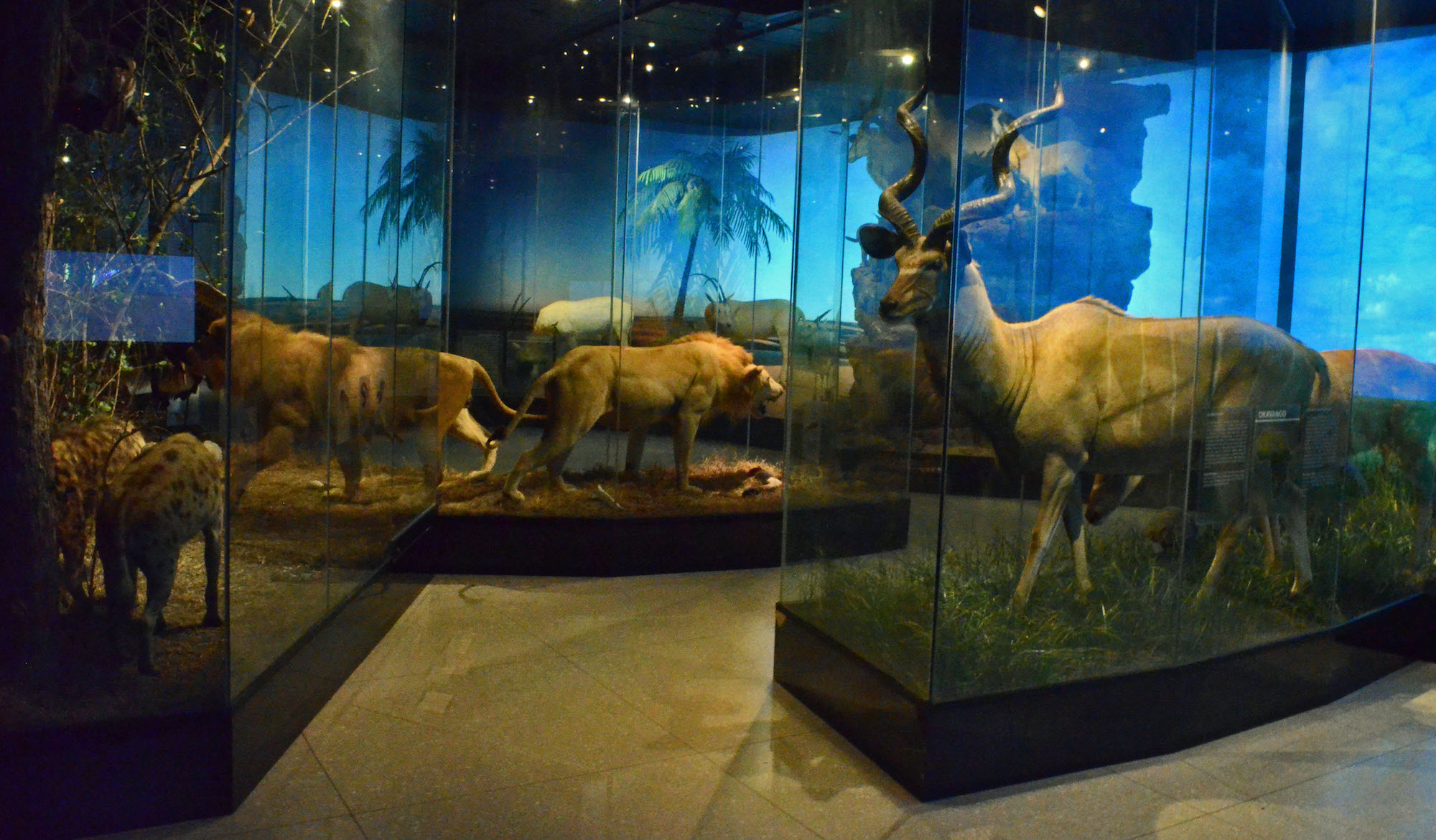 Houston city. Hmns-Frensley-Hall-of-African-Life