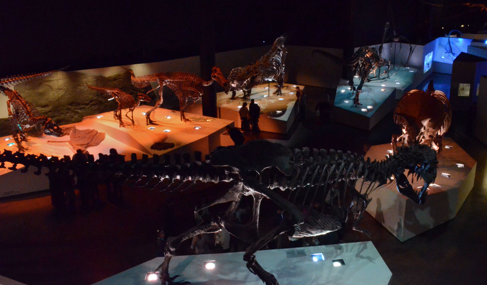 Houston Museum of Natural Science-Morian Hall of Paleontology