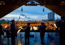 Get outdoors while watching live shows at Miller Outdoor Theatre miller-outdoor-theatre-houston-2