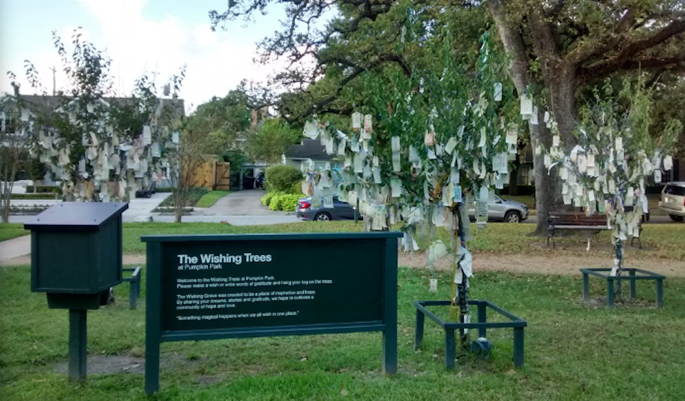 river-oaks-park-spotlight-2