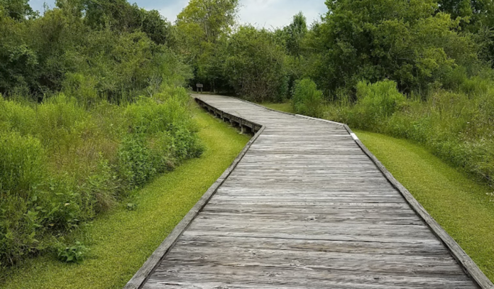 clear-creek-nature-center-park-spotlight-2