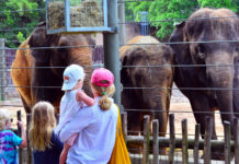 Visitor’s Guide: Houston Zoo in the Museum District visitors-guide-houston-zoo-1