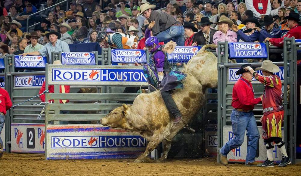 houston-rodeo-50-best-things-to-do-in-houston-texas
