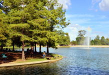 Visitor’s Guide: Hermann Park in the Museum District