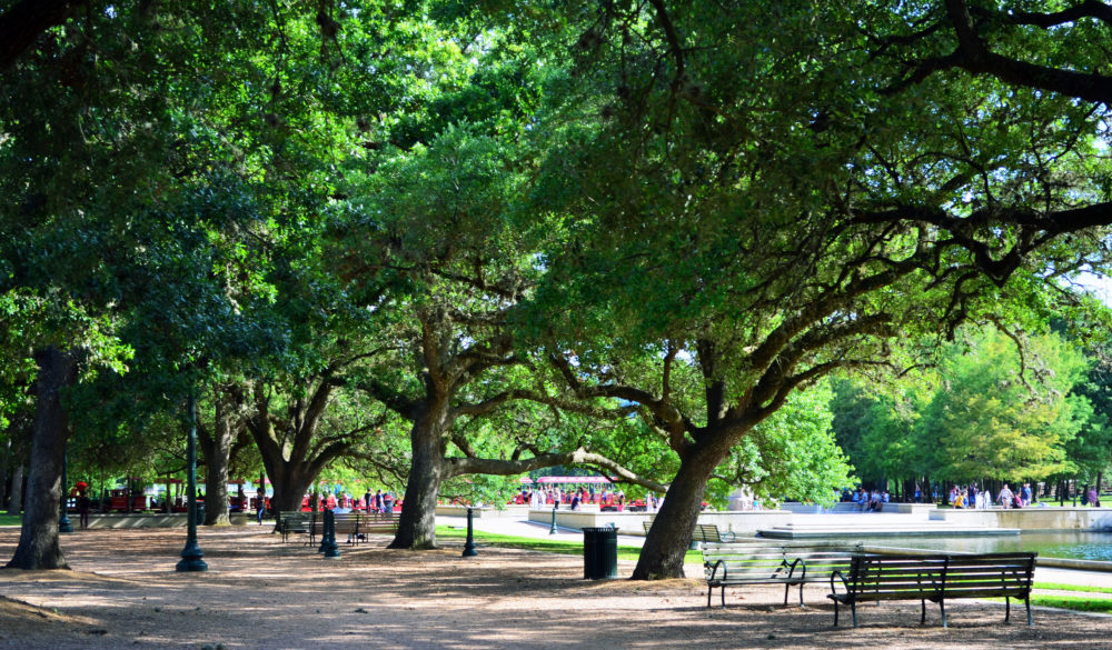 Hermann Park - All You Need to Know BEFORE You Go (with Photos)