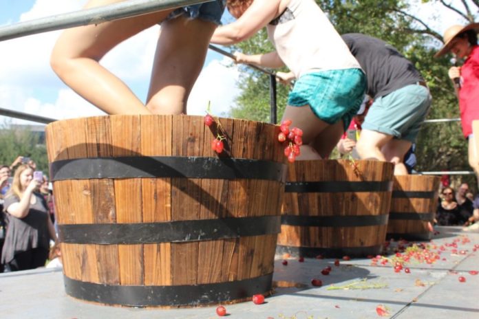 houston-italian-festival-festa-italiana-2018-grape-stomp