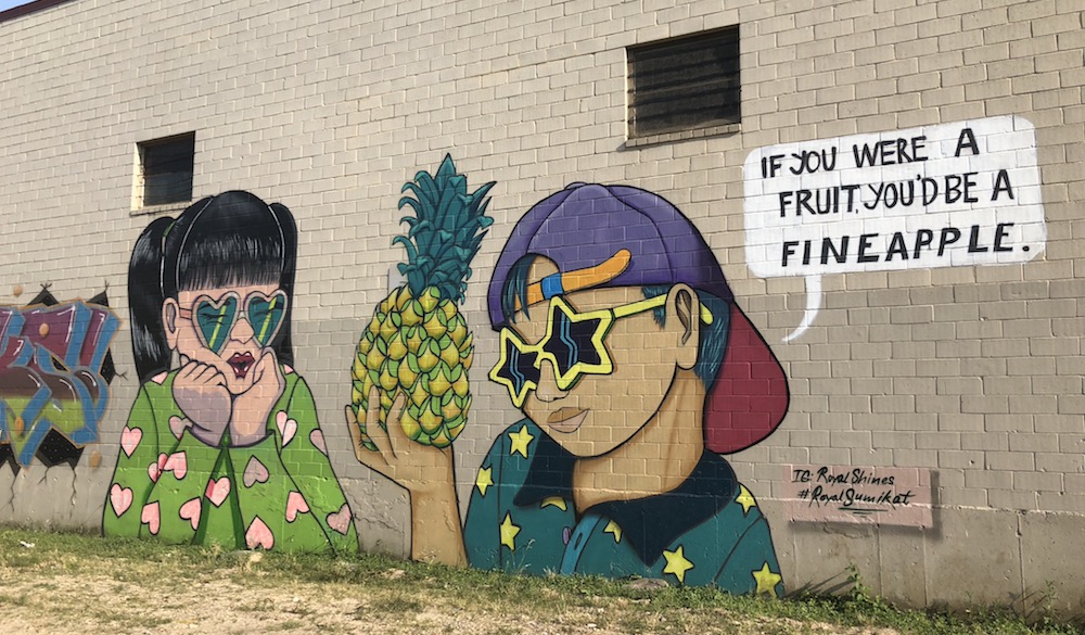 fineapple-mural-houston-1