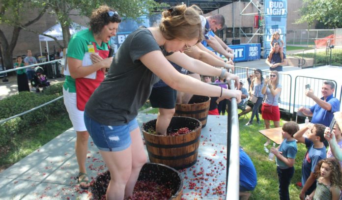 houston-italian-festival-festa-italiana-2018-grapes houston-italian-festival-festa-italiana-2018-grapes