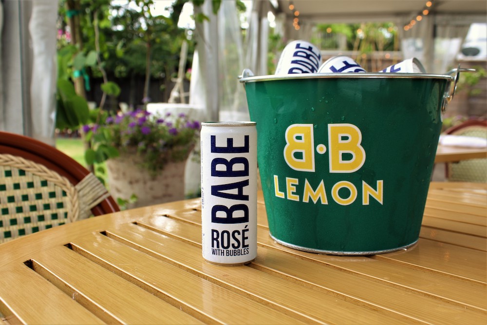 july-4th-backyard-cookout-at-b-b-lemon-drink-babe-rose-bucket