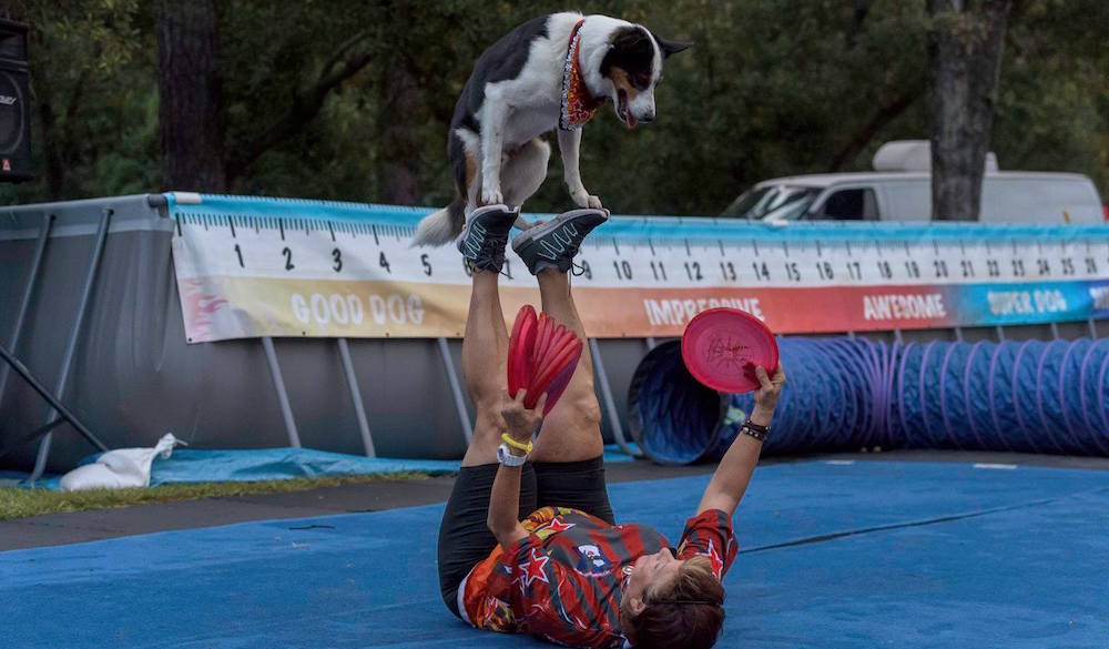 Registration opens next week for the 10th annual Bark in the Park