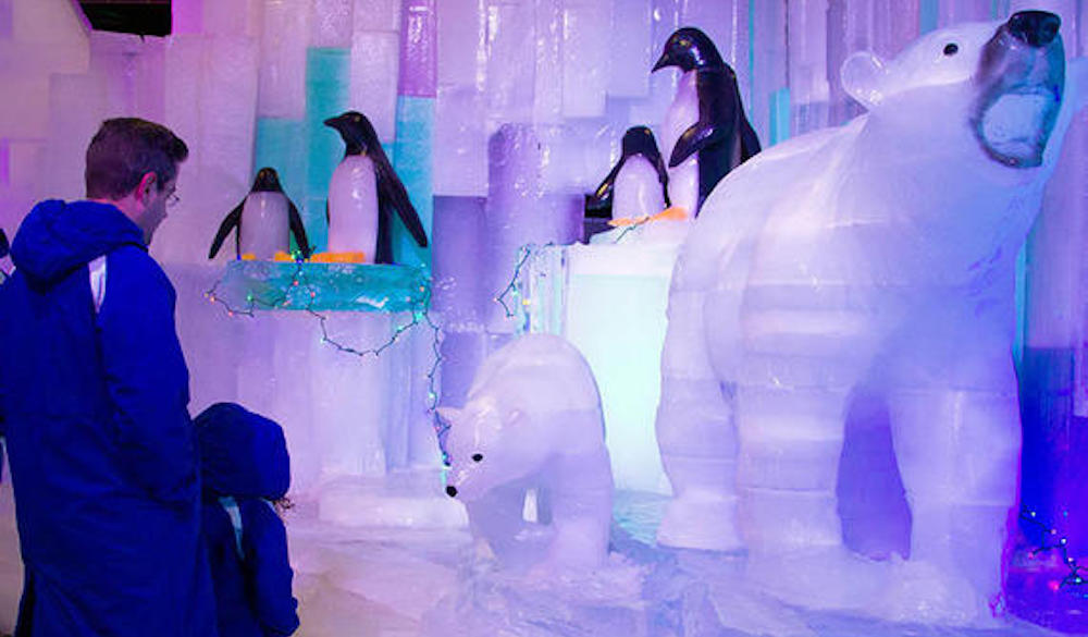 Ice Land At Moody Gardens 365 Things To Do In Houston