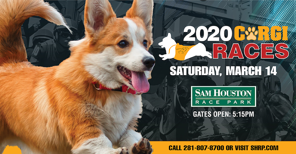 365 Things to Do in Houston