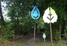 Park Spotlight: Japhet Creek Park in the East End