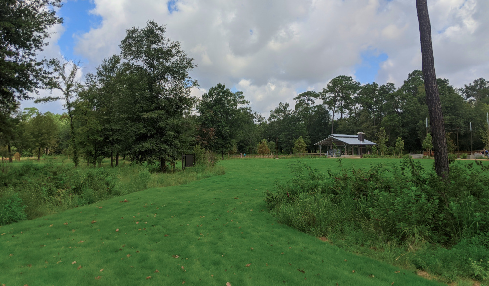 Memorial Park's New Eastern Glades Provides An Urban Wilderness