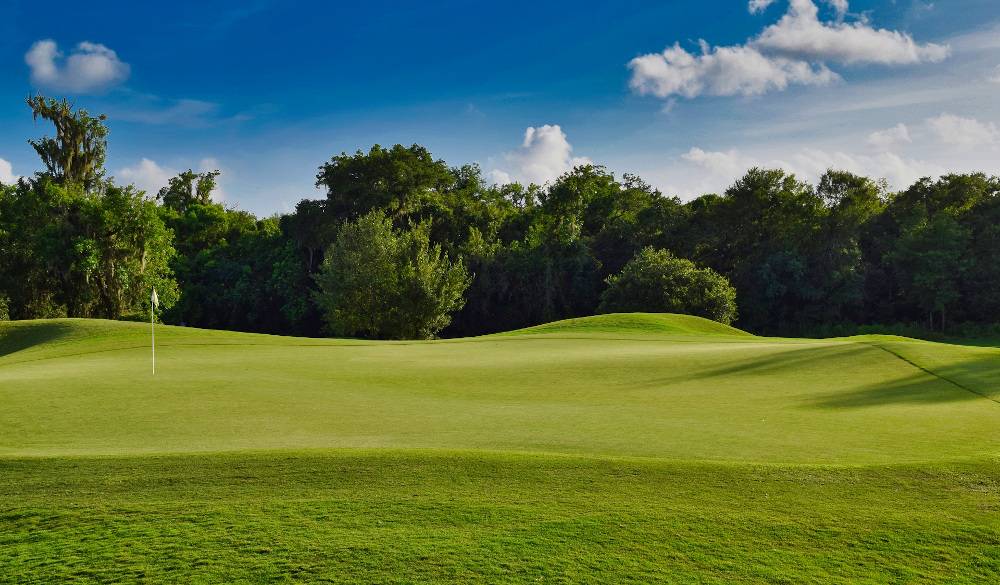 Around Houston Mini Golf Disc Golf Public Golf Courses 365