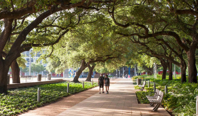 things-to-do-this-weekend-houston-march-4-5-6-7-2021
