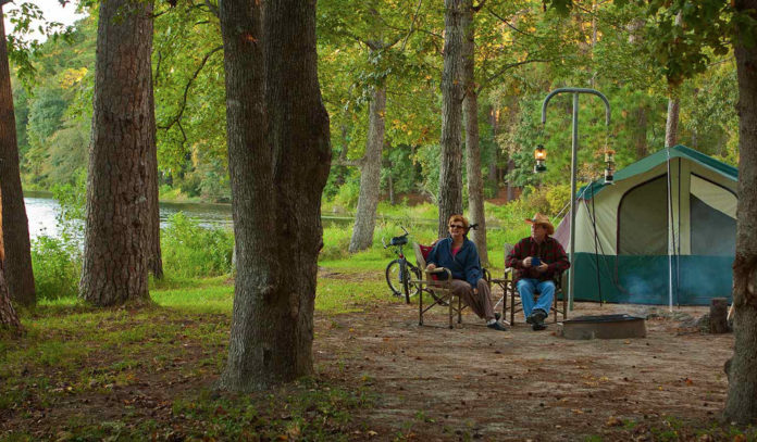 Wildlife viewing at Sam Houston National Forest