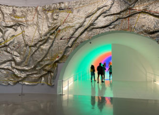 25+ Things to Do in Houston When It’s Way Too Cold