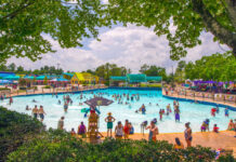 5 Must Do Things in Spring