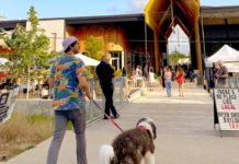 Shop local & fresh from the farm at summer markets in Greater Houston
