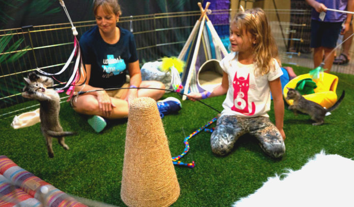 top-things-to-do-for-kids-in-houston-this-week-may-30-june-5-2022-pop-cats-2