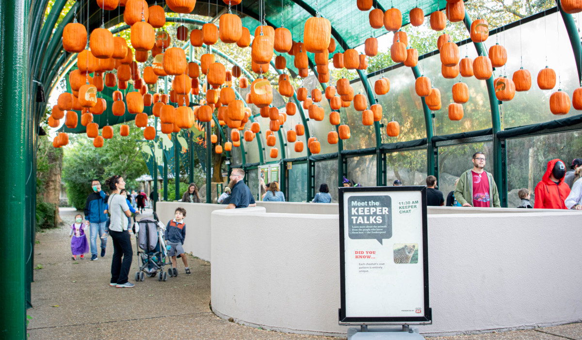 30+ Halloween Weekend Events for Kids & Families 365 Houston