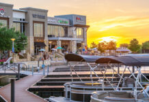 5 Must Do Things in Cypress